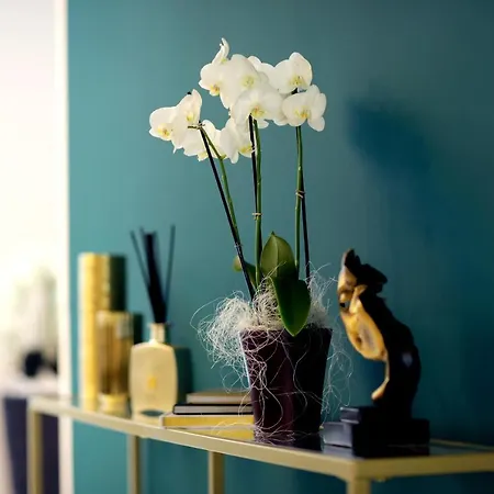 酒店 M-pire 柏林